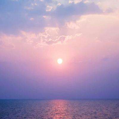 星空体育官方网站手机app下载