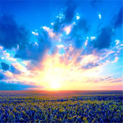 手机最快开奖结果截图