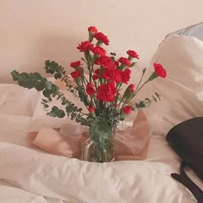 手机最快开奖结果